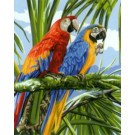 stramin + garnpaket, papegaaien in regenwoud