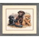 stickpackung labradorpups met schoen