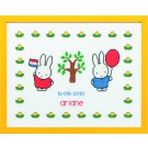 stickpackung dick bruna, geburt ariane